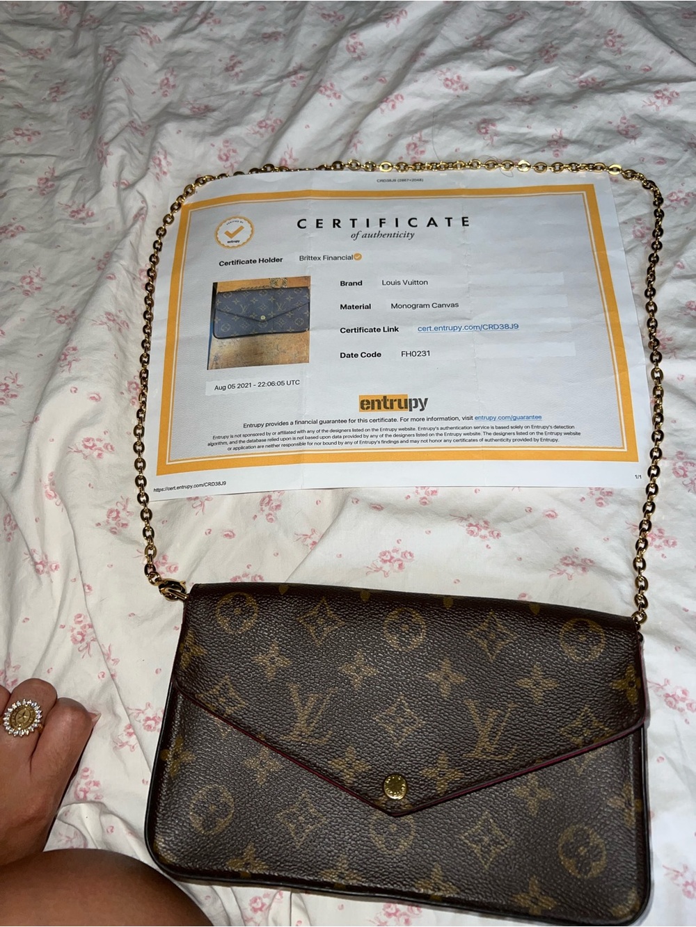 Louis Vuitton Monogram Canvas Chain Crossbody - Brown with Gold Chain